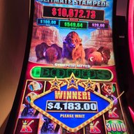 Slot Bonuses & Cruising Fun!