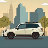 TravelerFromVA