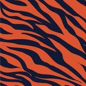 Tiger Tales Travels!