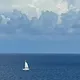 travelology771