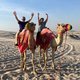 Kelly and Vanessa Travel