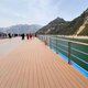 Cruise Easy with Travel Mates