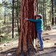 RobinT - treehugger