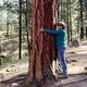 RobinT - treehugger
