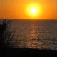 TravelshareTravel