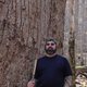 JourneyofBear