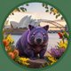 A Wanderful Wombat