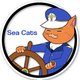 Sea Cats - Videos